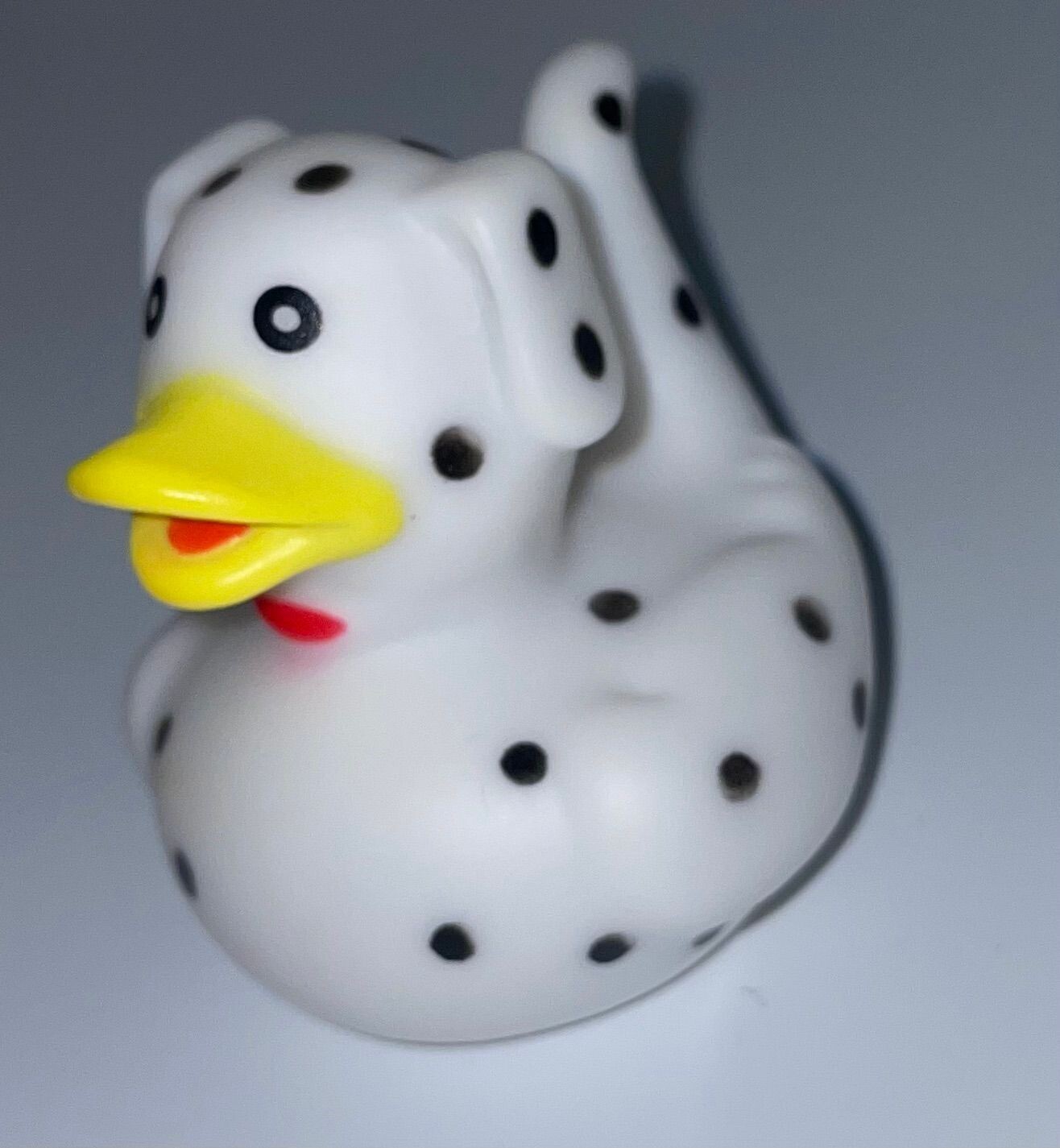 Dalmation Duck