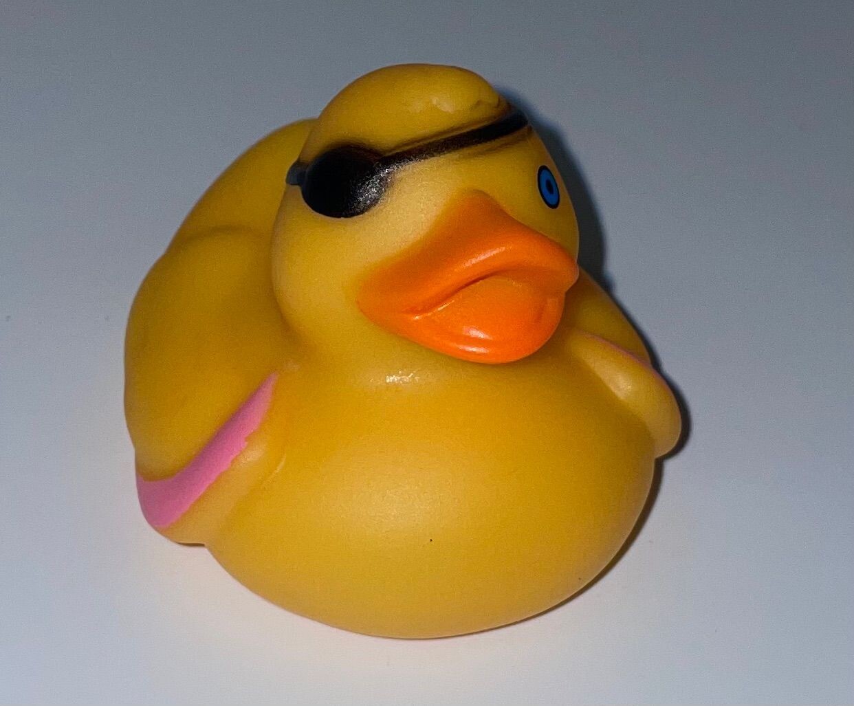 Pirate Duck
