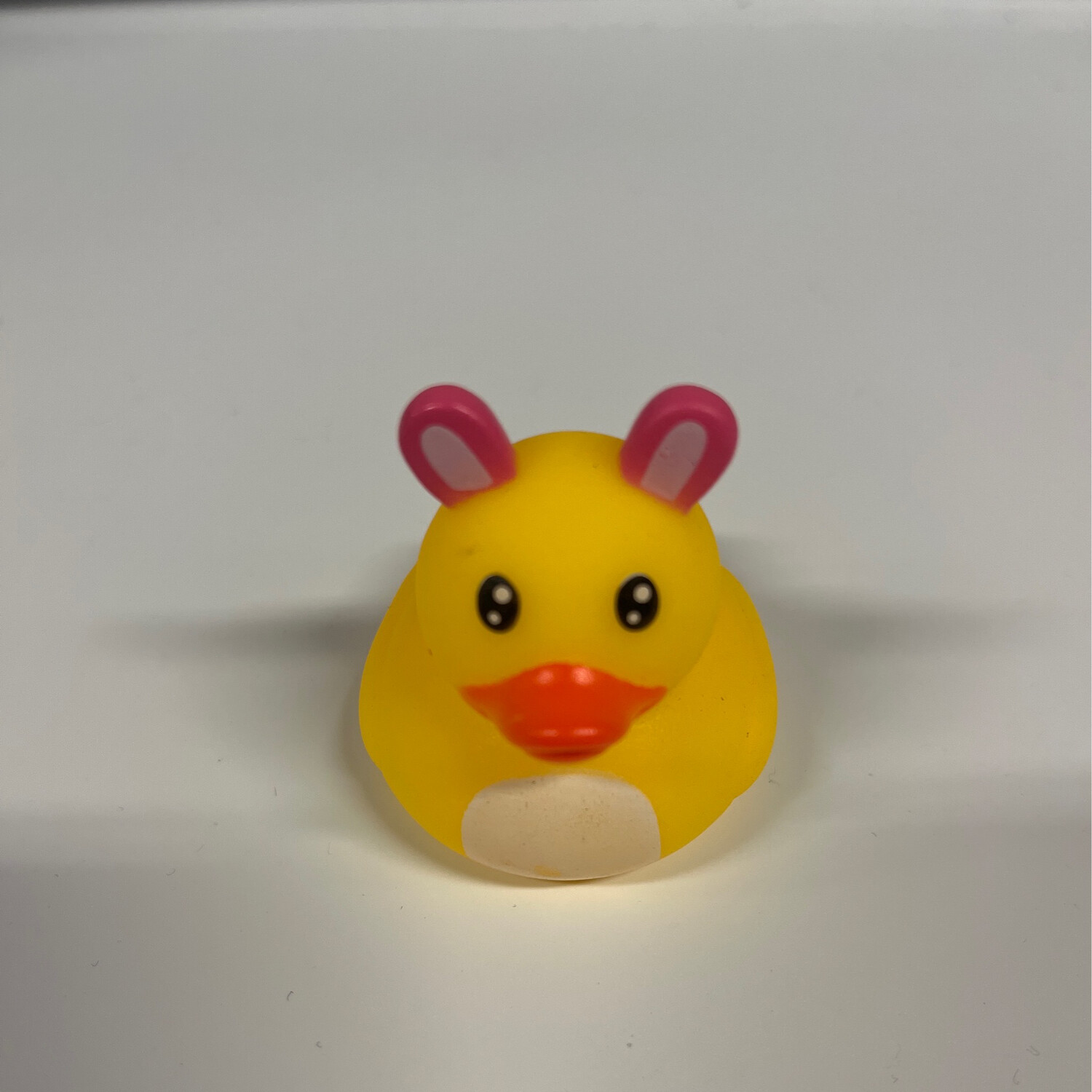 Bunny Duck