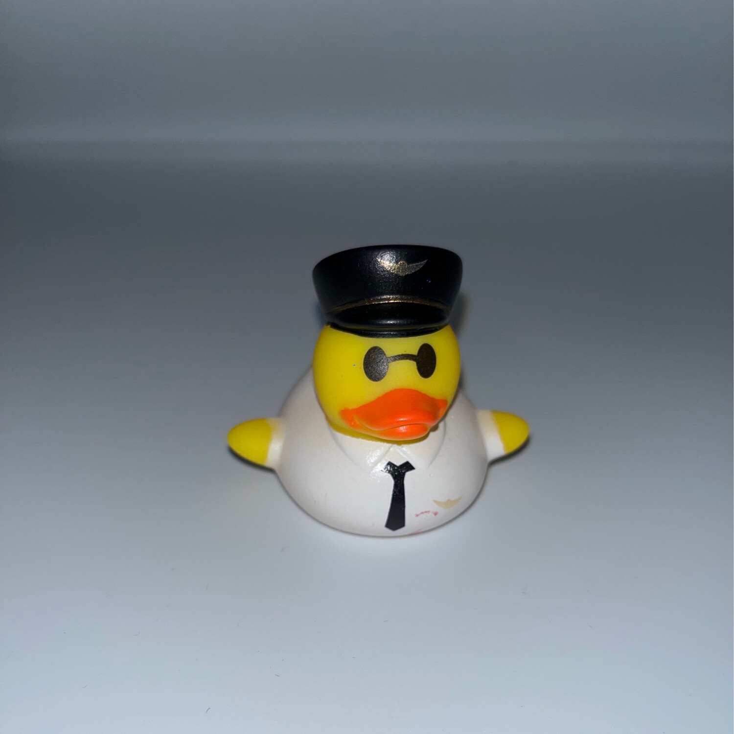 Pilot Duck