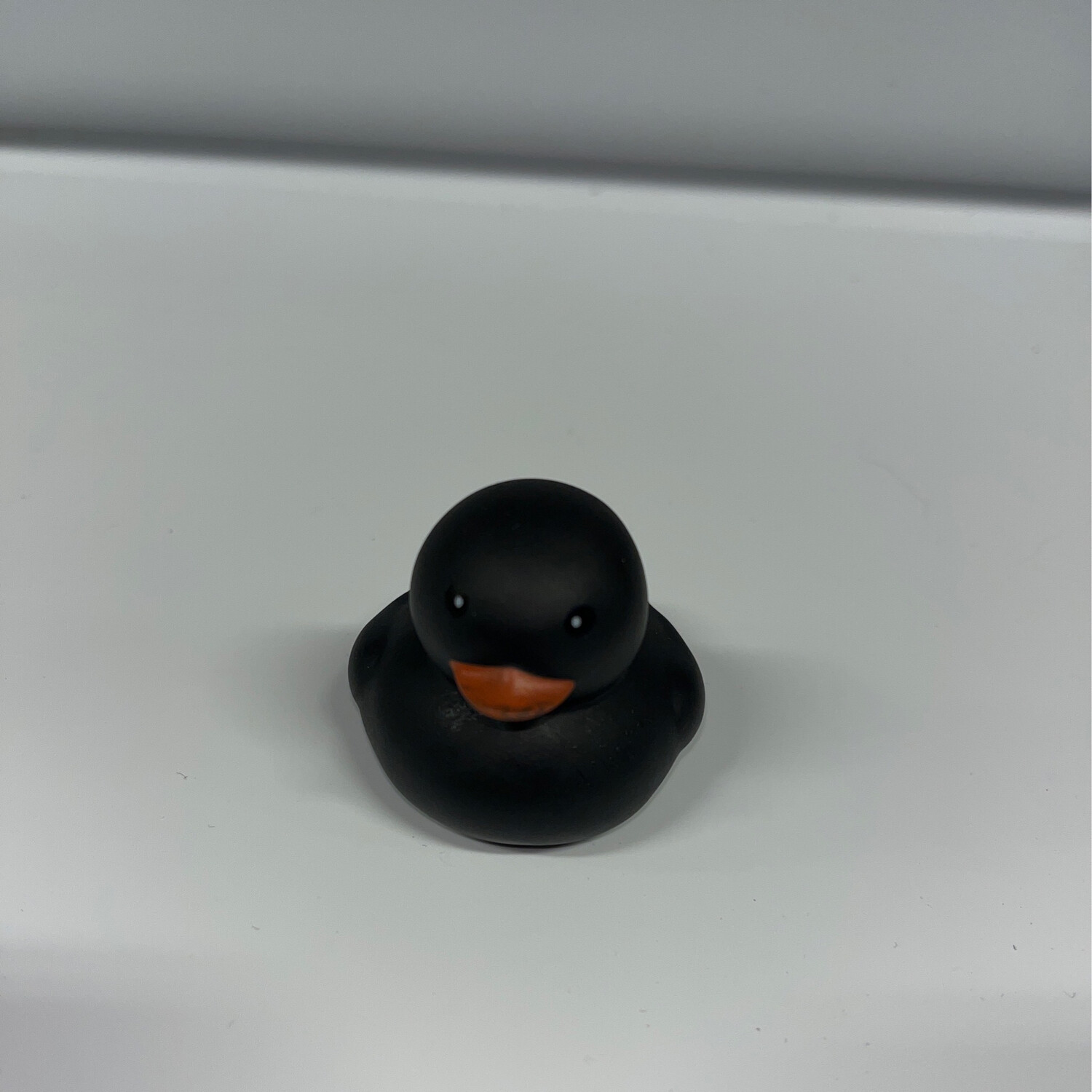 Black Duck