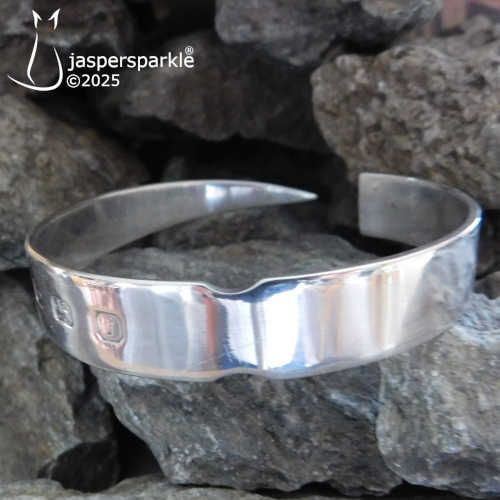 Silver Skewer Bangle Birmingham 2008