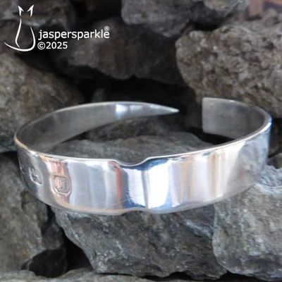 Silver Skewer Bangle Birmingham 2008