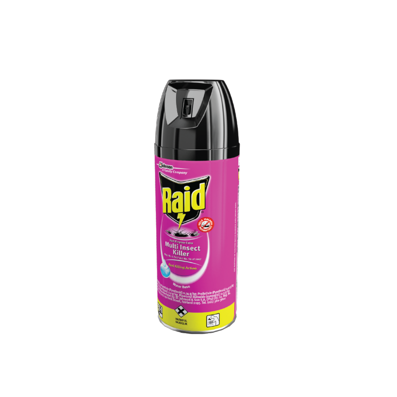 RAID DUAL PURP ODOURLESS 300ML LOOSE
