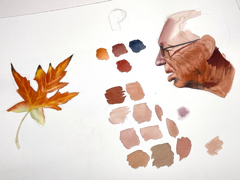 Leave and skin tones study