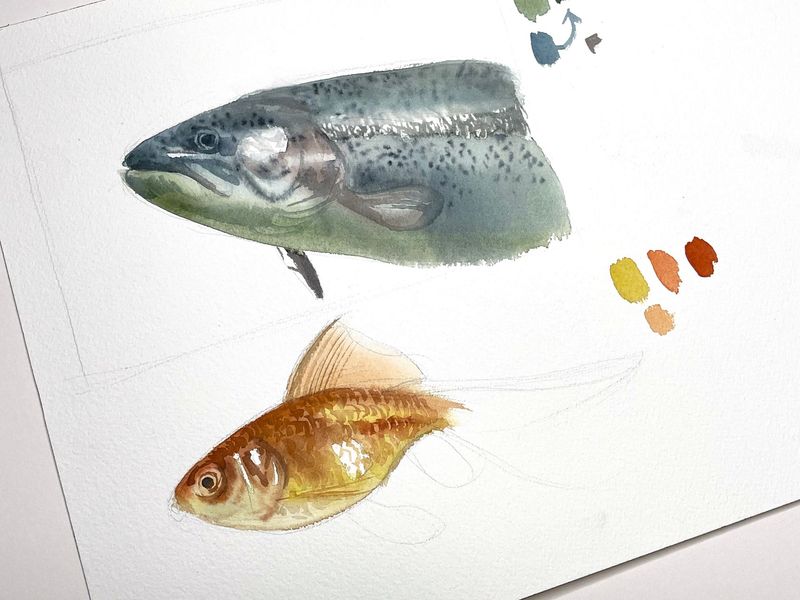 Fish study