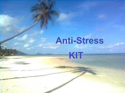 Anti-Stress-Paket (5 Hypnose-mp3 plus Bonusbuch)