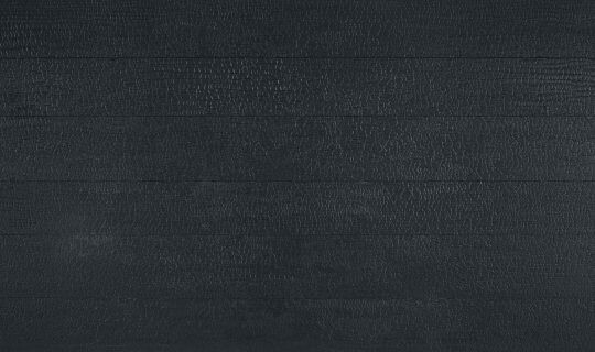 3D BLACK CARBON BRUT - LEEUWENBURGH - 19,8 mm