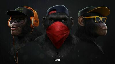 3 wise swag