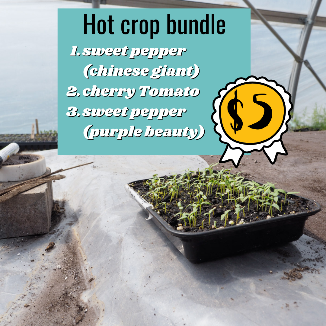Hot Crop Bundle Hot Crop Bundle