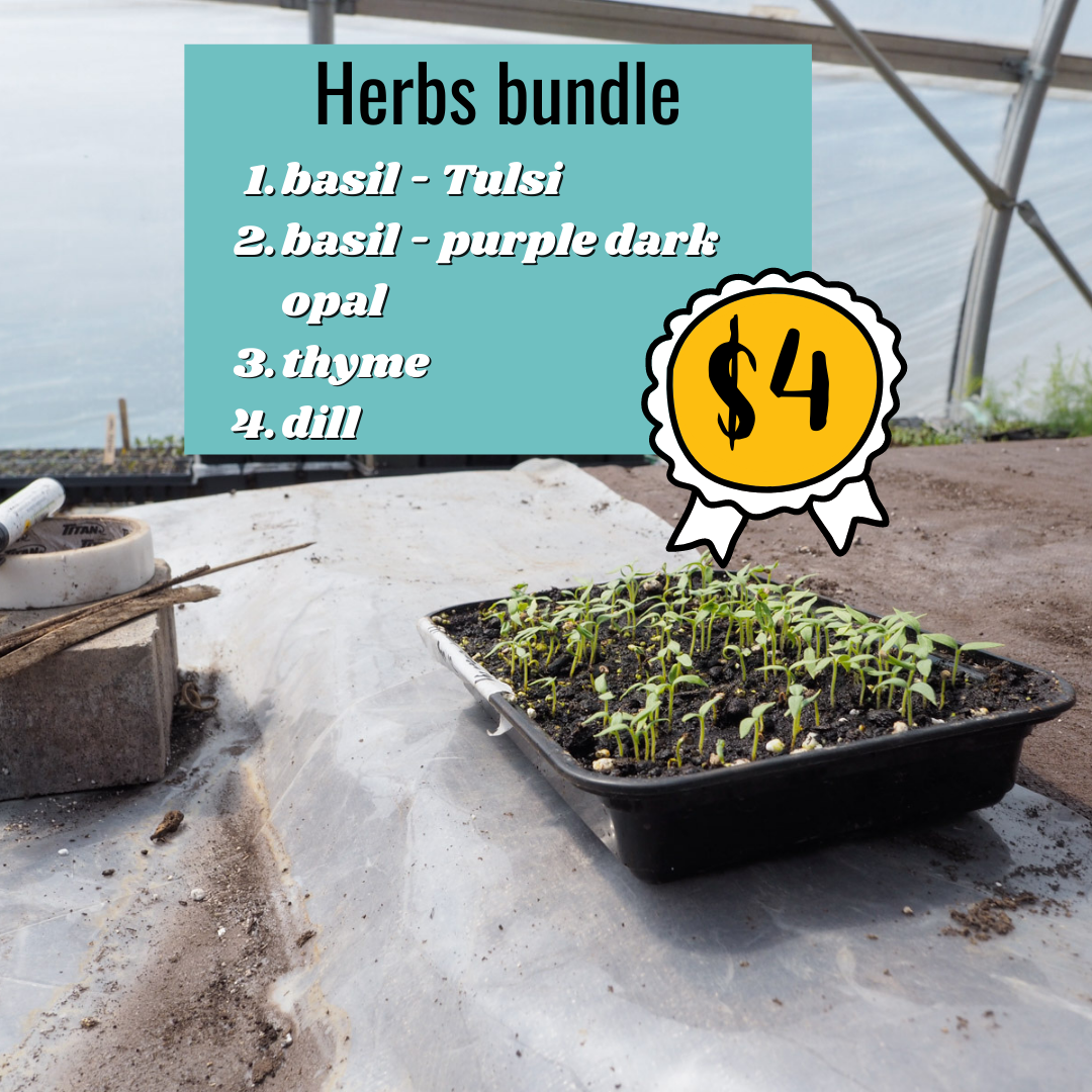 Herbs Bundle Herbs Bundle