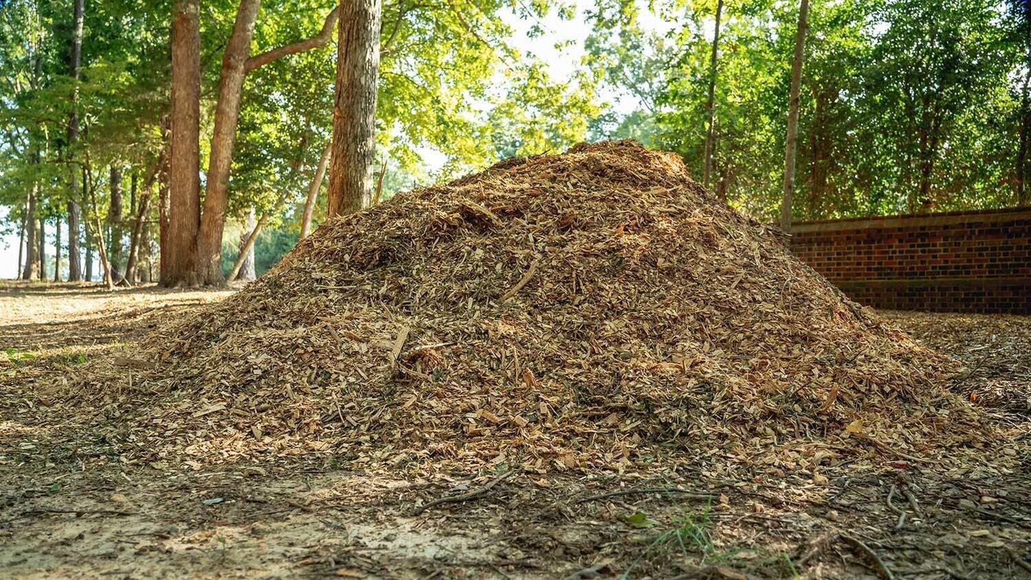 Wood chips - free, no need to order, inquire at pickup, bring your own bags/containers