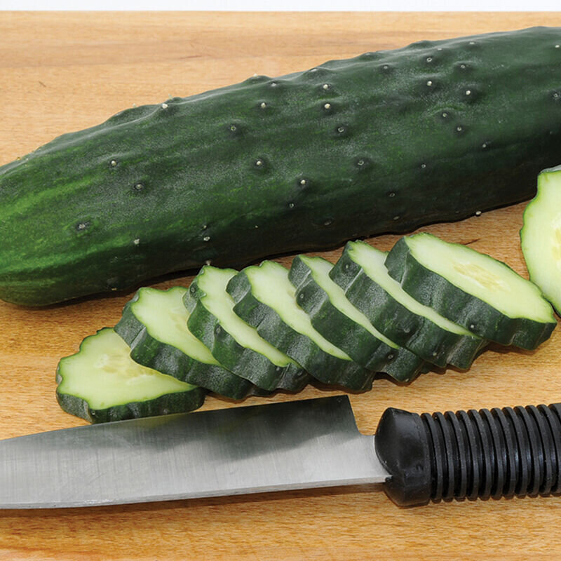 Cucumber - var.: marketmore (2 plants per pot)