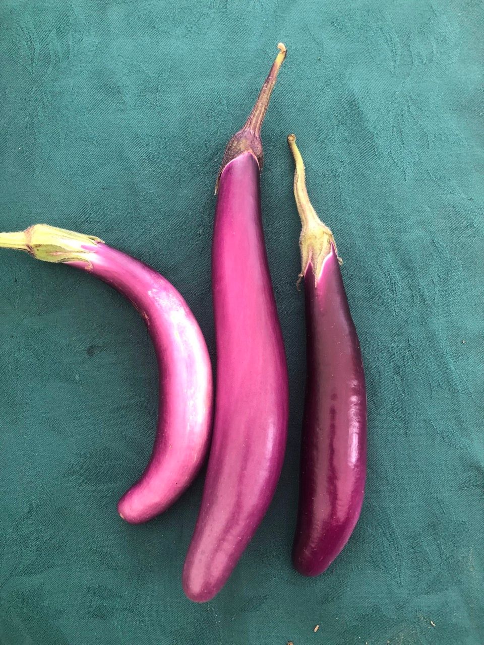 Eggplant - var.: ping tung long (2 plants per pot)