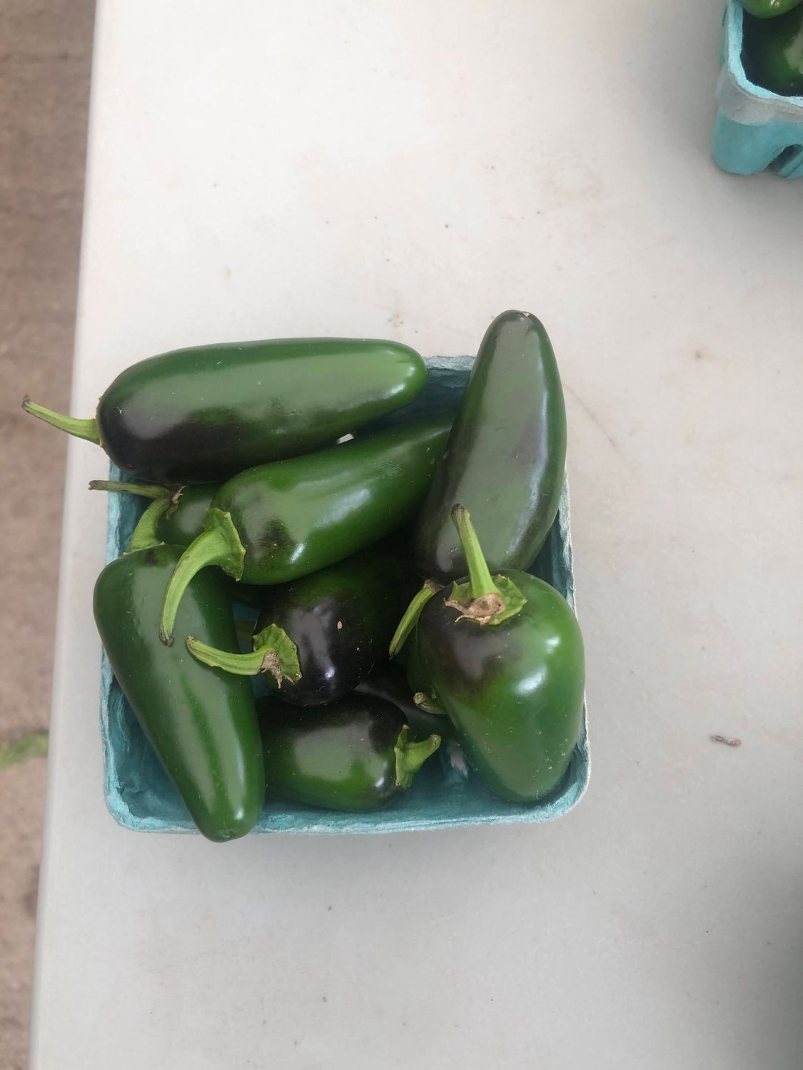 Hot pepper - var.: early jalapeno (2 plants per pot)