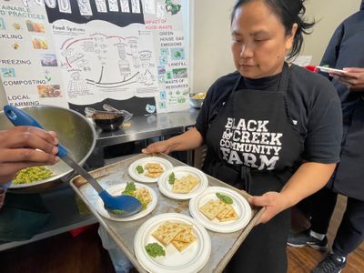 BCCF Apron