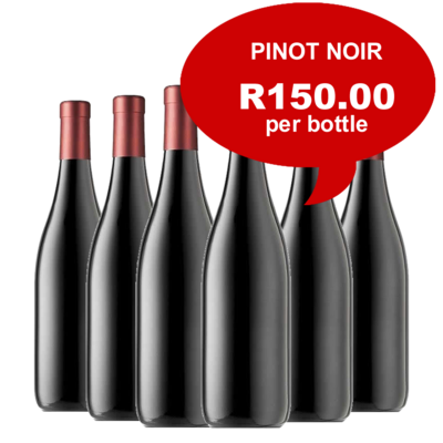 Pinot Noir 2017 - Elgin