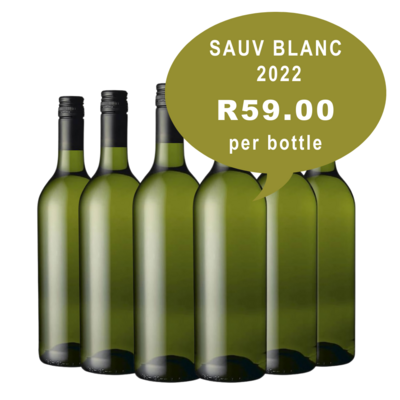 Sauvignon Blanc 2022 - Stellenbosch