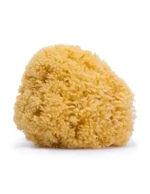 Suavinex | Esponja Natural Grande 0m+