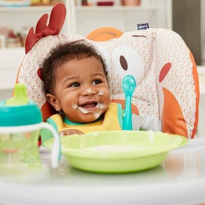 Chicco | Cadeira de Refeição Polly 2 Start – Fancy Chicken (Outlet)