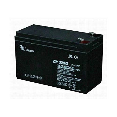 Battery AGM 12V 9A/hr Vision