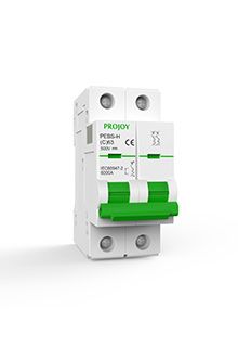 Projoy Double Pole DC MCB 16A 500V Type C 6kA