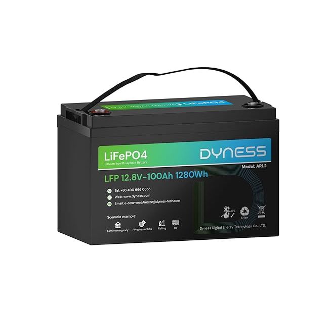 Dyness Lithium Battery (LiFePO4)100A 12.8V 1.28kW