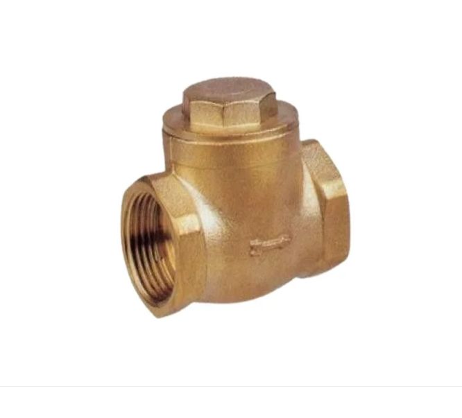 Non Return Valve 22mm  (Swing)
