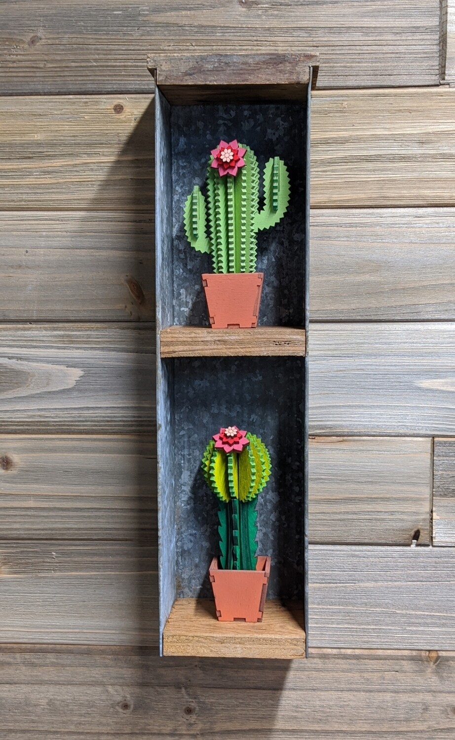 DIY 3D Free Standing Cacti (Cactus)