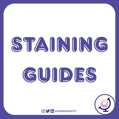 Staining Guides