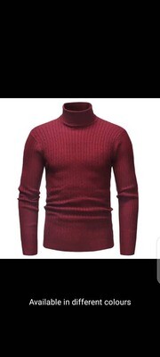 Unisex Turtle Neck