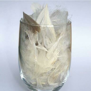 Plume de canard et 5 % duvet : vendu par sac de 1 kg