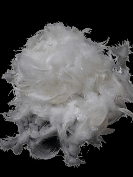 PLG-P Mélange Plumes-Fibres Dacron