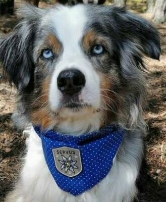 Hundehalstuch "Servus" Echte Handarbeit aus Bayern