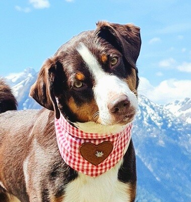 Hundehalstuch "Glückshund"