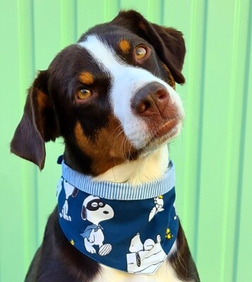 Hundehalstuch "Snoopy"