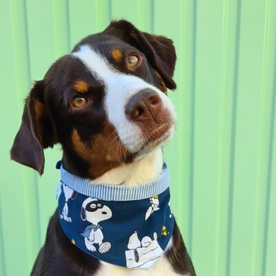 Hundehalstuch "Happy-Snoopy"