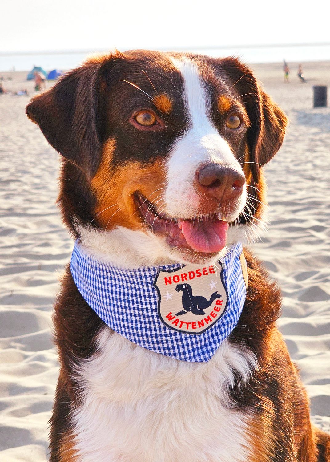 Hundehalstuch Nordsee