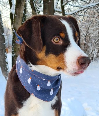 Weihnachts-Hundehalstuch