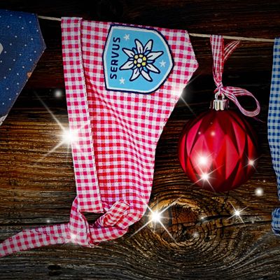 Bayerisches Hundehalstuch "Servus"