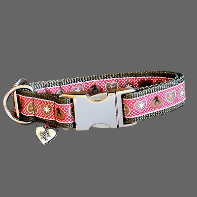 Hundehalsband im Alpenlook Hundehalsband im Alpenlook