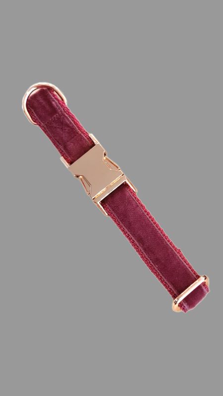 Samt-Hundehalsband