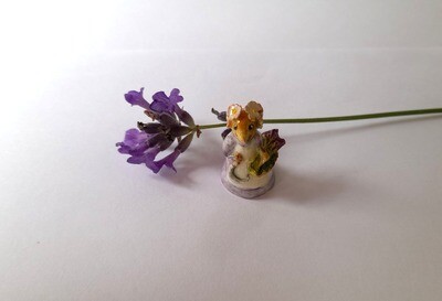 Lavender Mouse