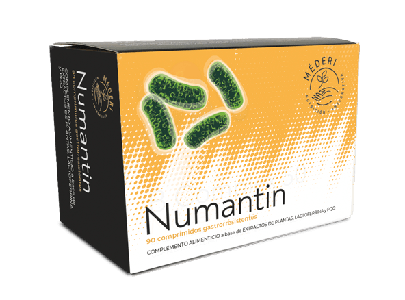 NUMANTIN 90 COMP