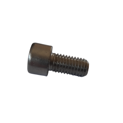 M10 Capscrew Bolts (Stainless)