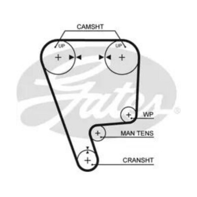 Gates Timing Belt - Honda B16A