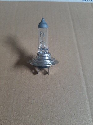 H7 Headlight Bulb