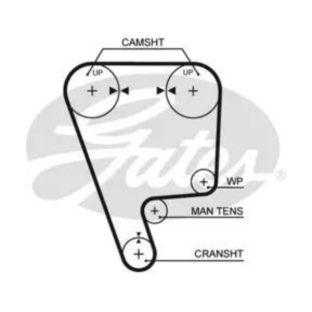 Gates Timing Belt - Honda B16A