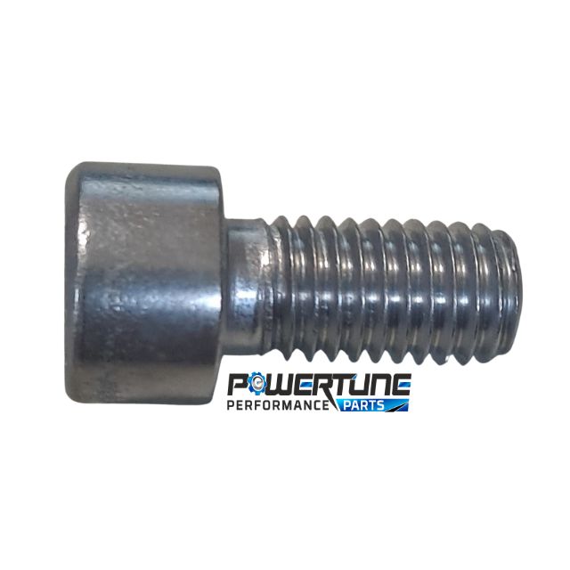M10 X 30mm SHCS Bolts (Stainless) Each