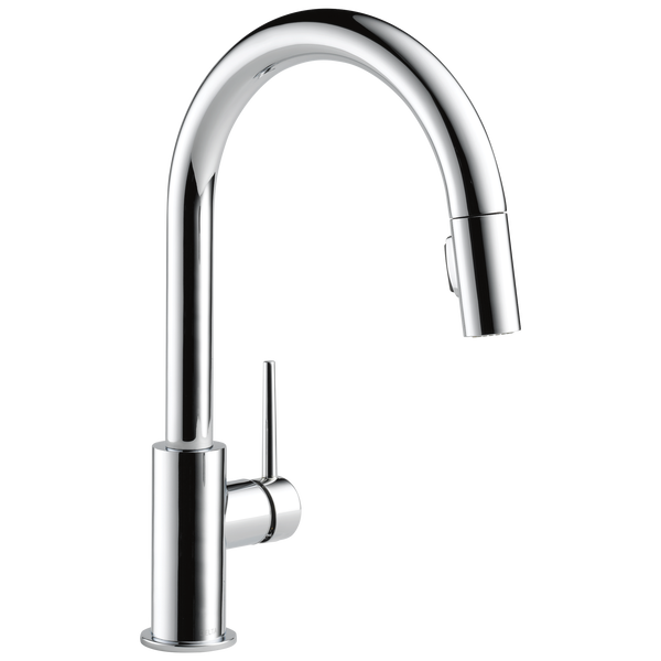 Delta Trinsic kitchen faucet